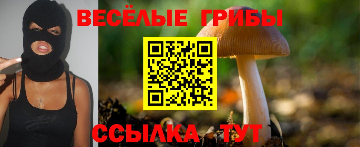 Магадан  Псилоцибиновые грибы Psilocybine cubensis  Вход с VPN  Псилоцибиновые грибы Cubensis 